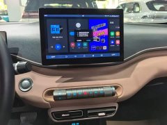 BYD Seagull 305km Freedom Edition - ფოტო 13