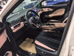 BYD Seagull 305km Freedom Edition - ფოტო 15