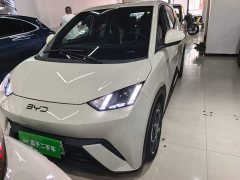 BYD Seagull 305km Freedom Edition - ფოტო 3