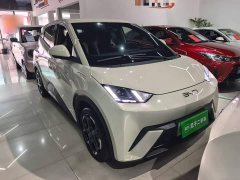 BYD Seagull 305km Freedom Edition - ფოტო 4