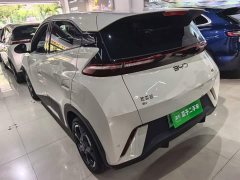 BYD Seagull 305km Freedom Edition - ფოტო 5