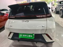 BYD Seagull 305km Freedom Edition - ფოტო 6
