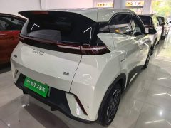 BYD Seagull 305km Freedom Edition - ფოტო 7