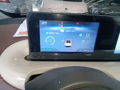 Wuling Binguo 2024 333km Joy Edition - ფოტო 12