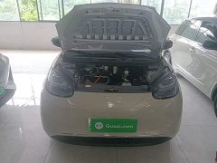 Wuling Binguo 2024 333km Joy Edition - ფოტო 20