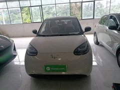 Wuling Binguo 2024 333km Joy Edition - ფოტო 3