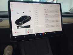 Tesla Model 3 Standard Range RWD Upgrade - ფოტო 13