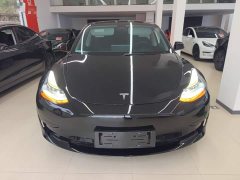 Tesla Model 3 Standard Range RWD Upgrade - ფოტო 3