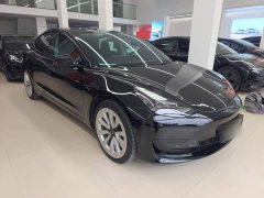 Tesla Model 3 Standard Range RWD Upgrade - ფოტო 4