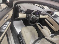 Wuling Binguo PLUS 2024 401km 5-Seater - ფოტო 16