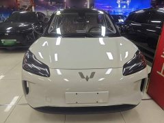 Wuling Binguo PLUS 2024 401km 5-Seater - ფოტო 3