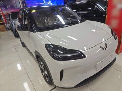Wuling Binguo PLUS 2024 401km 5-Seater - ფოტო 4