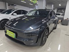 Tesla Model Y Long Range All-Wheel Drive - ფოტო 1