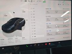 Tesla Model Y Long Range All-Wheel Drive - ფოტო 12