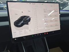 Tesla Model Y Long Range All-Wheel Drive - ფოტო 13