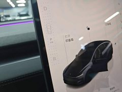 Tesla Model Y Long Range All-Wheel Drive - ფოტო 14