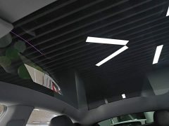 Tesla Model Y Long Range All-Wheel Drive - ფოტო 18