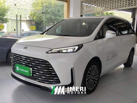 2025 Buick GL8 New Energy Lusang Respect Edition