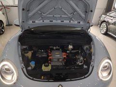 ORA Good Cat 400km Standard Range Luxury Ternary Lithium - ფოტო 20