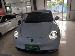 ORA Good Cat 400km Standard Range Luxury Ternary Lithium - ფოტო 3