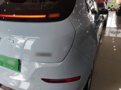 ORA Good Cat 400km Standard Range Luxury Ternary Lithium - ფოტო 8