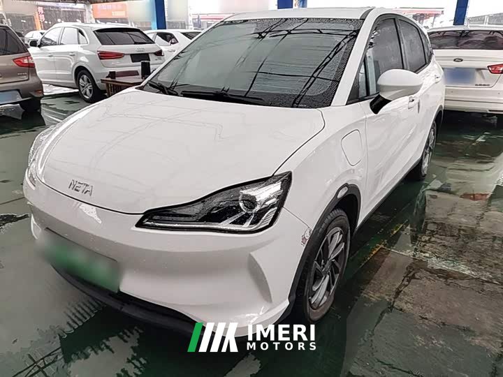Neta V Trend 300 Lite Ternary Lithium
