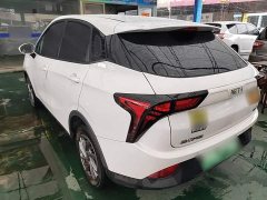 Neta V Trend 300 Lite Ternary Lithium - ფოტო 5