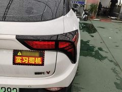 Neta V Trend 300 Lite Ternary Lithium - ფოტო 8