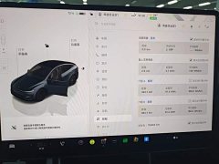 Tesla Model Y Long Range All-Wheel Drive - ფოტო 12