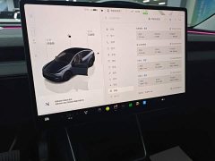 Tesla Model Y Long Range All-Wheel Drive - ფოტო 13