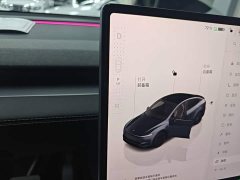 Tesla Model Y Long Range All-Wheel Drive - ფოტო 14