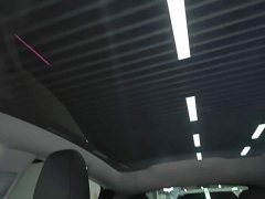 Tesla Model Y Long Range All-Wheel Drive - ფოტო 18