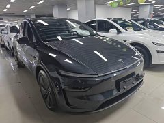 Tesla Model Y Long Range All-Wheel Drive - ფოტო 4