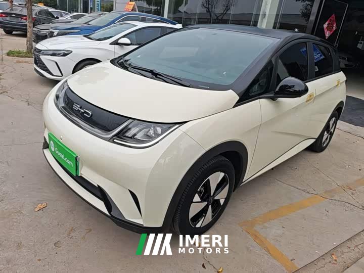 BYD Dolphin 2023 420km Freedom Edition - ავტომობილი ჩინეთიდან
