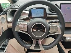 BYD Dolphin 2023 420km Freedom Edition - ფოტო 11