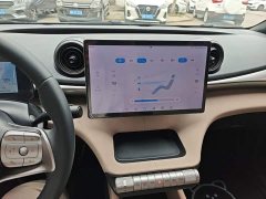 BYD Dolphin 2023 420km Freedom Edition - ფოტო 13