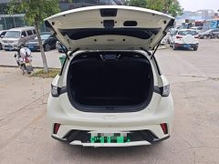 BYD Dolphin 2023 420km Freedom Edition - ფოტო 19
