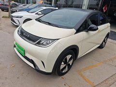 BYD Dolphin 2023 420km Freedom Edition - ფოტო 2