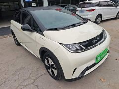 BYD Dolphin 2023 420km Freedom Edition - ფოტო 4