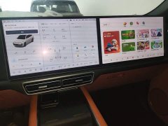 Li Auto L7 Max - ფოტო 13