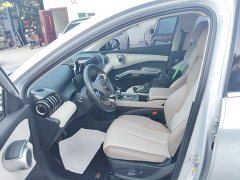 BYD Yuan Plus 2024 Glory Edition 510KM Transcend - ფოტო 15