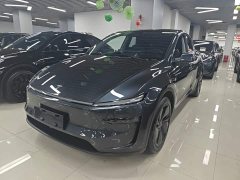 Tesla Model Y Long Range All-Wheel Drive - ფოტო 1