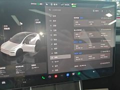 Tesla Model Y Long Range All-Wheel Drive - ფოტო 12