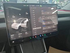 Tesla Model Y Long Range All-Wheel Drive - ფოტო 13