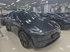 Tesla Model Y Long Range All-Wheel Drive - ფოტო 4