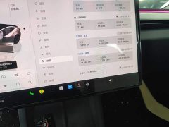 Tesla Model 3 Rear-Wheel Drive - ფოტო 12