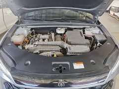 BYD Qin PLUS DM-i Smart Drive Edition 55KM Leading - ფოტო 20