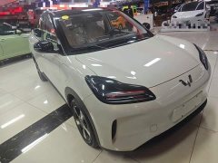 Wuling Binguo PLUS 2024 401km 5-Seater - ფოტო 4