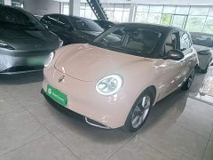 ORA Good Cat 2022 Morandi Edition 400km Standard Range Luxury Trim Ternary Lithium Battery - ფოტო 2