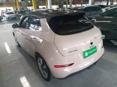 ORA Good Cat 2022 Morandi Edition 400km Standard Range Luxury Trim Ternary Lithium Battery - ფოტო 5